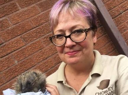 Katherine with a hedgehog patient at the Chorley Hedgehog Rescue centre where she volunteers.